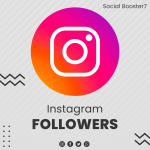 Instagram Followers