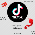 TikTok Views