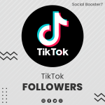 TikTok Followers